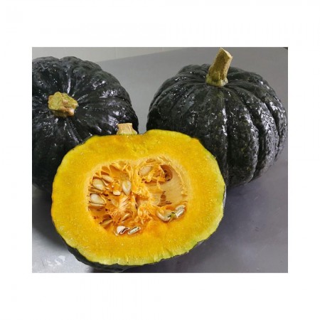 Sementes Abóbora Hiroko/Tetsukabuto Japosesa 50g  - FELTRIN