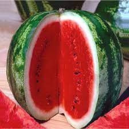 Sementes de Melancia crimson sweet – TOPSEED 50g