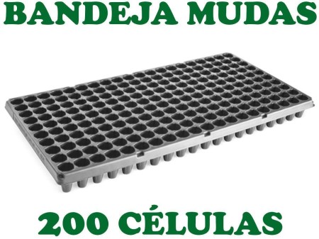 Bandeja de 200 Células