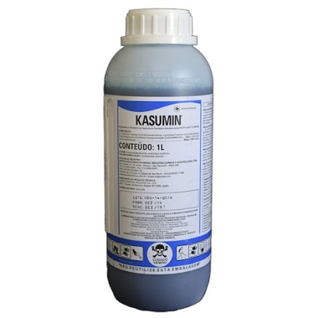 Kasumin 1L
