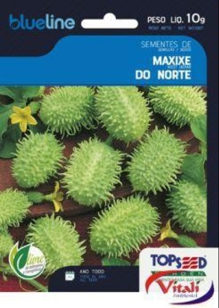 Semente Maxixe do Norte - TOPSEED