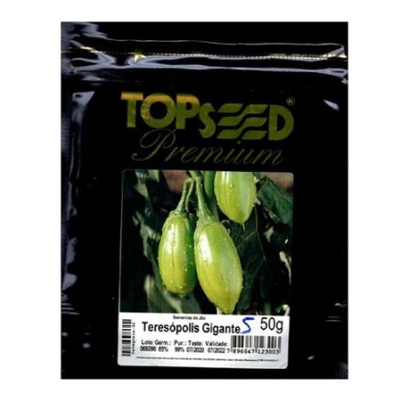 Semente de Jiló Teresópolis Gigante - 50g TOPSEED