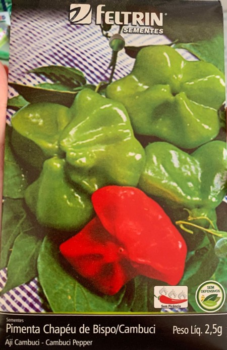 Semente de Pimenta Chapeu de Bispo - FELTRIN