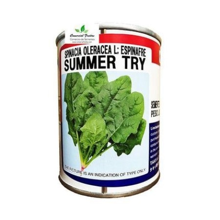Semente de Espinafre Summer - TAKII SEED