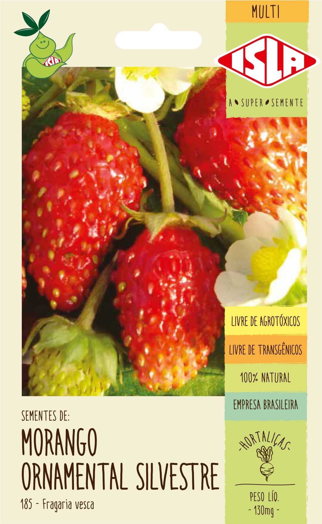 Semente de Morango Ornamental Silvestre - ISLA