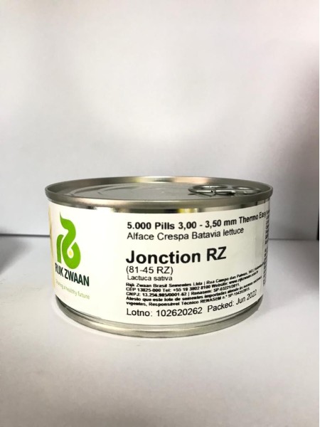 Semente Alface Crespa Jonction 5000 Sementes RZ - Image 2